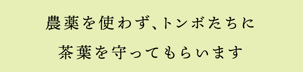 農薬を使わず、トンボたちに茶葉を守ってもらいます