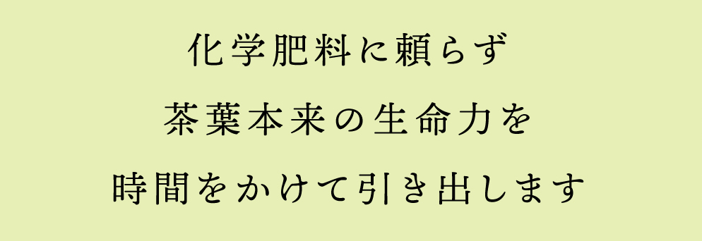 化学肥料に頼らず、茶葉本来の生命力を時間をかけて引き出します