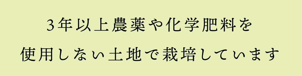 3年以上農薬や化学肥料を使用しない土地で栽培しています